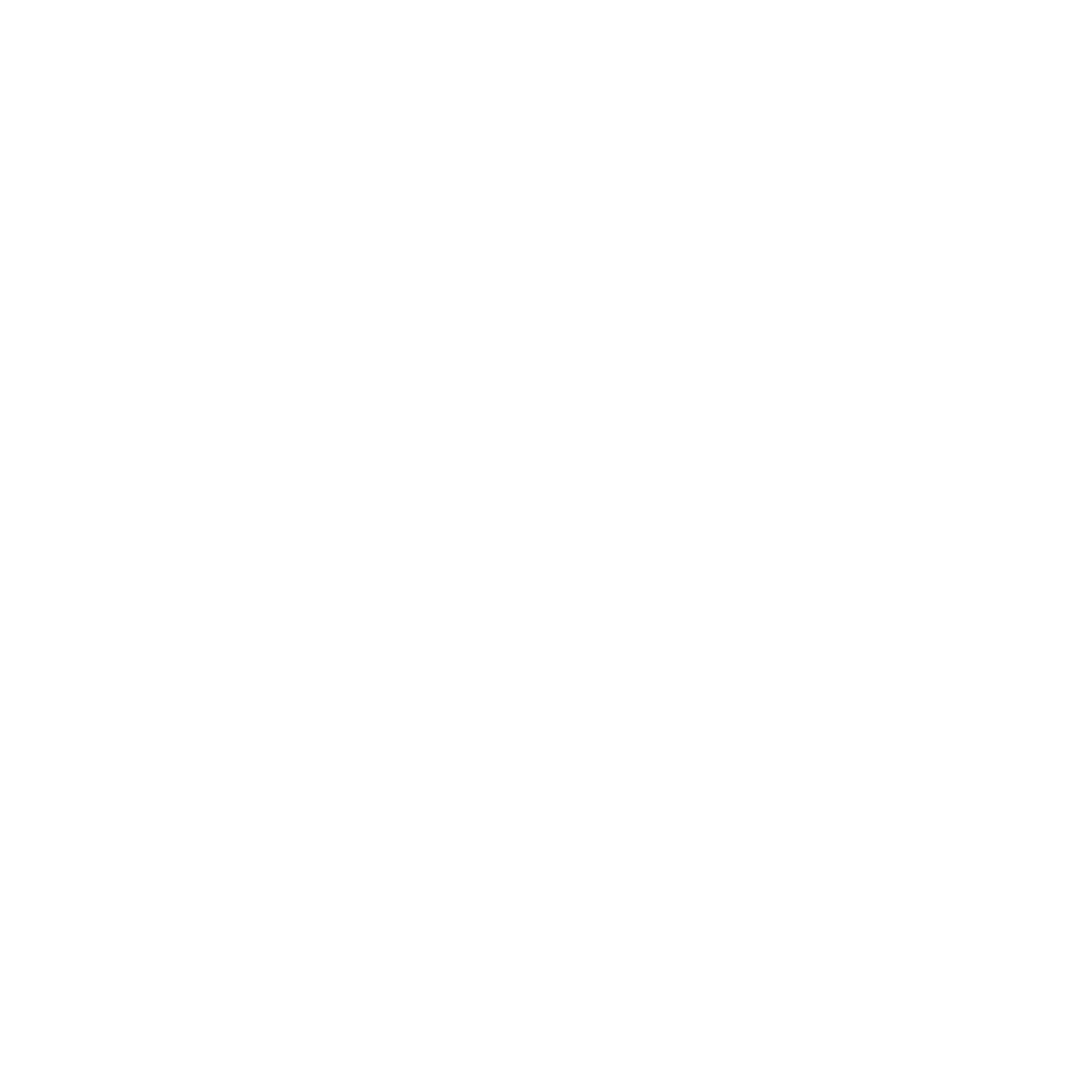 White Trident Solutions Logo