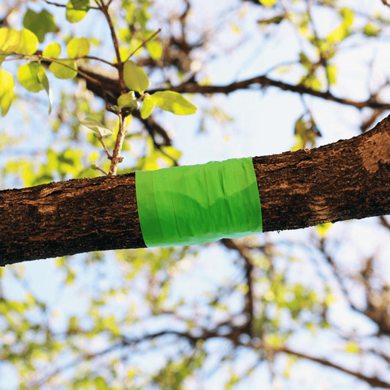 Nursery Roll Flagging In The Field Lime Glo
