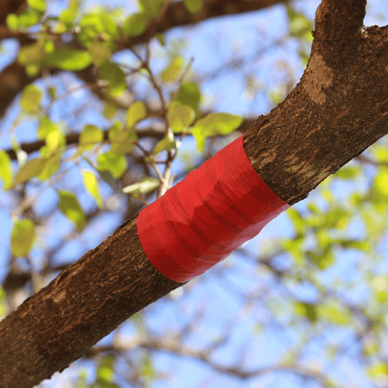 Nursery Roll Flagging In The Field Red