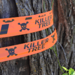 Printed Roll Flagging In The Field Killer Tree Skull