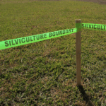 Printed Roll Flagging In The Field Silviculture Boundary