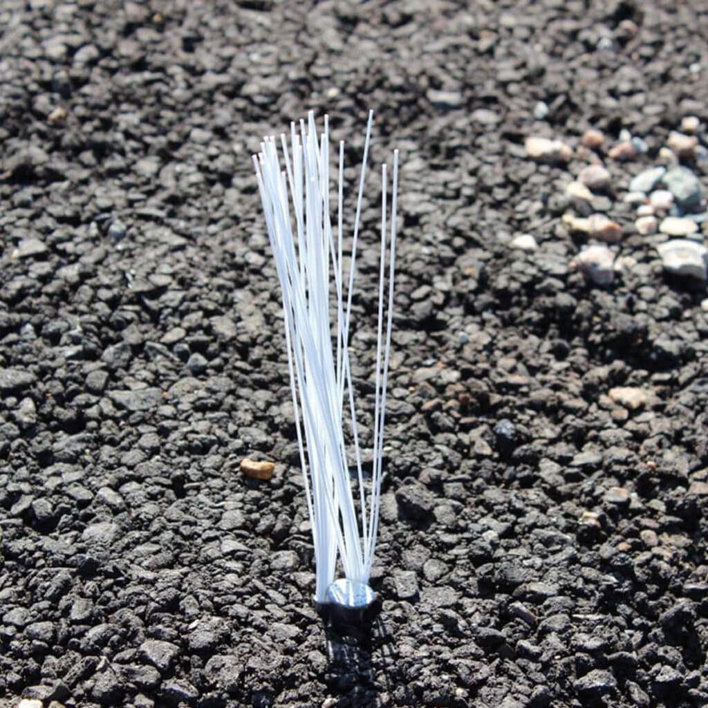 Marking Whiskers APWA ColorCoded Trident Solutions