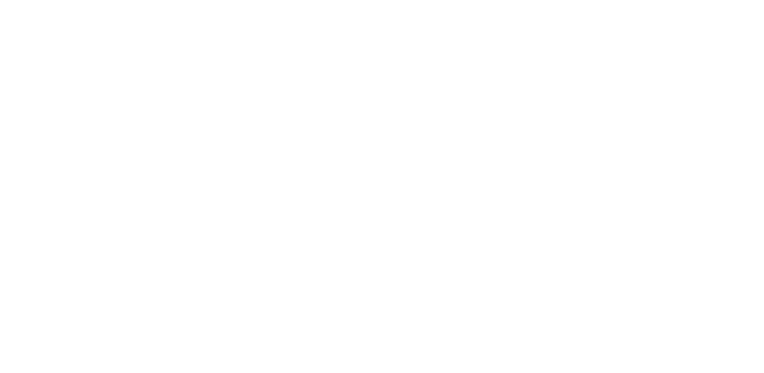 LEM Logo Horizontal White