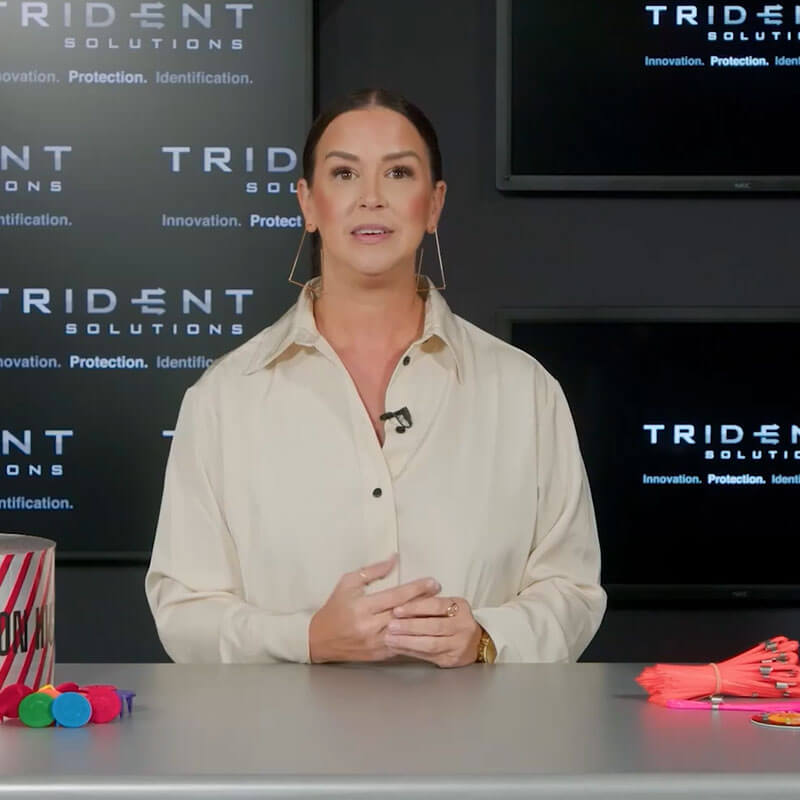 Striped Flags Thumbnail