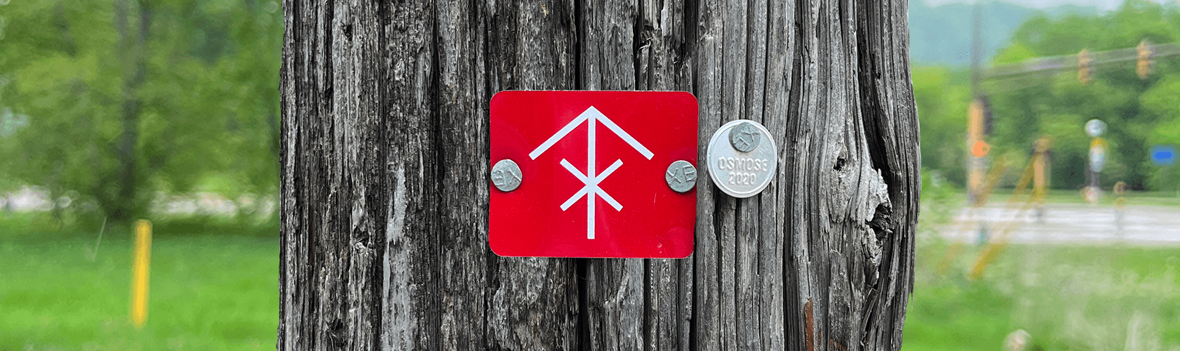 Utility_Pole_Tags_Decoded-What_Every_Field_Worker_Should_Know