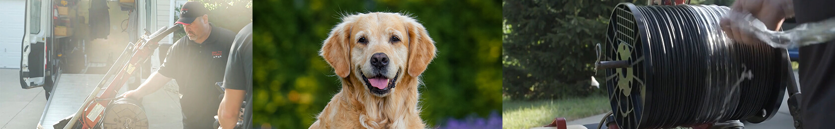 Pet Fence Case Study