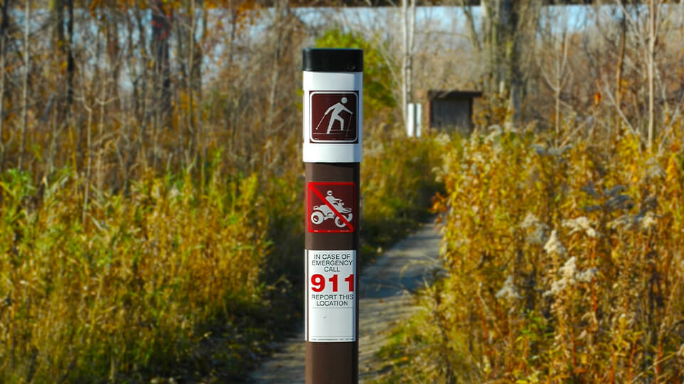 Trail-Decal-Closeup2